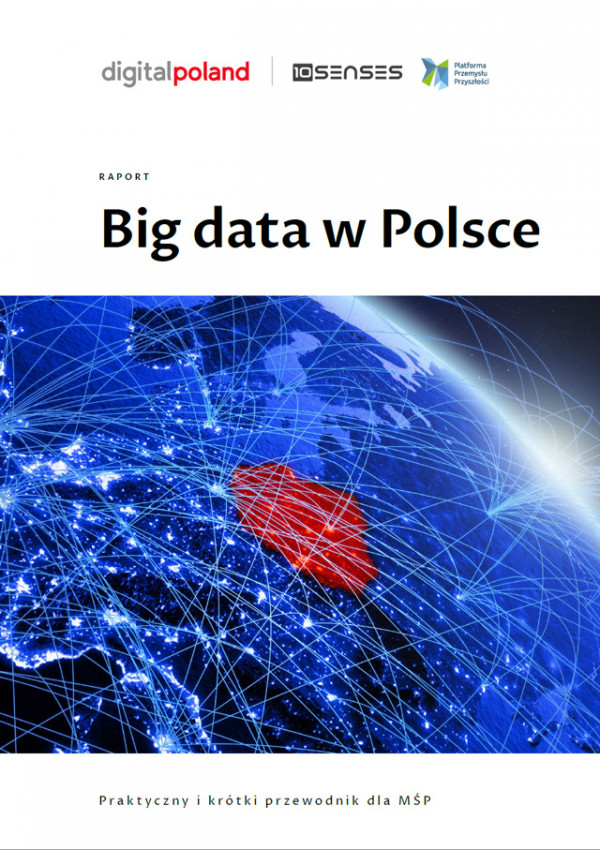 big-data-w-polsce-okladka.jpg